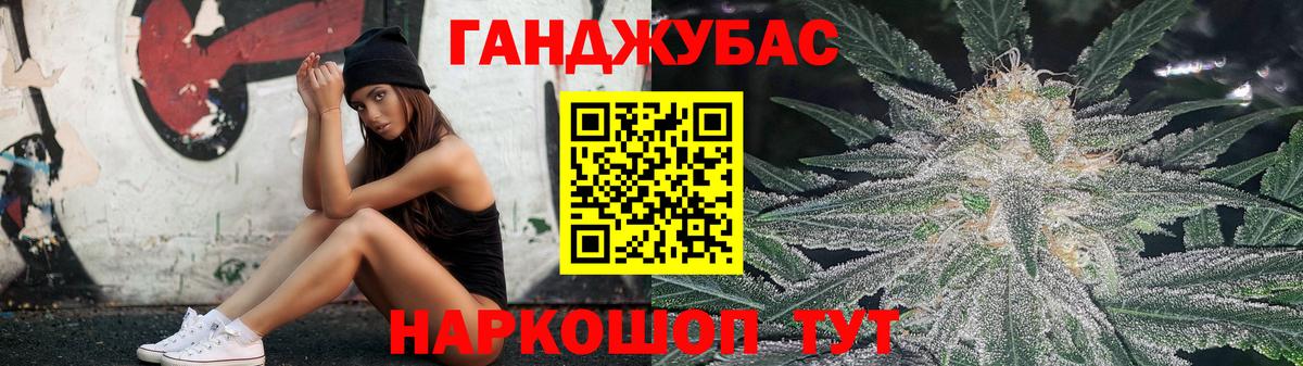 Бошки Шишки планчик Нальчик
